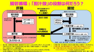 胆汁酸