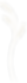 Sea oat