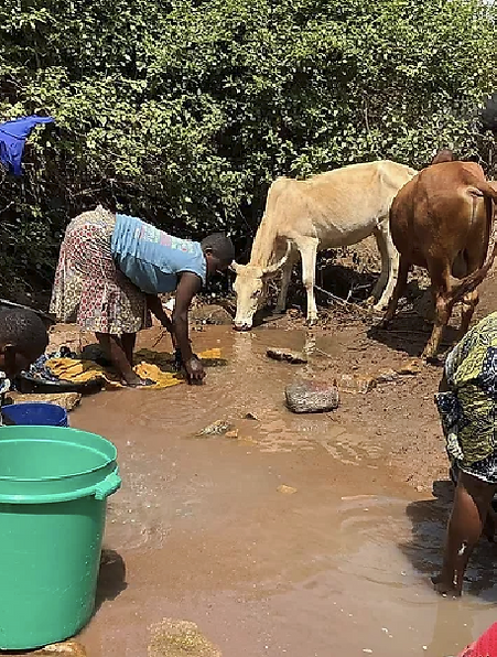 cowwater.png