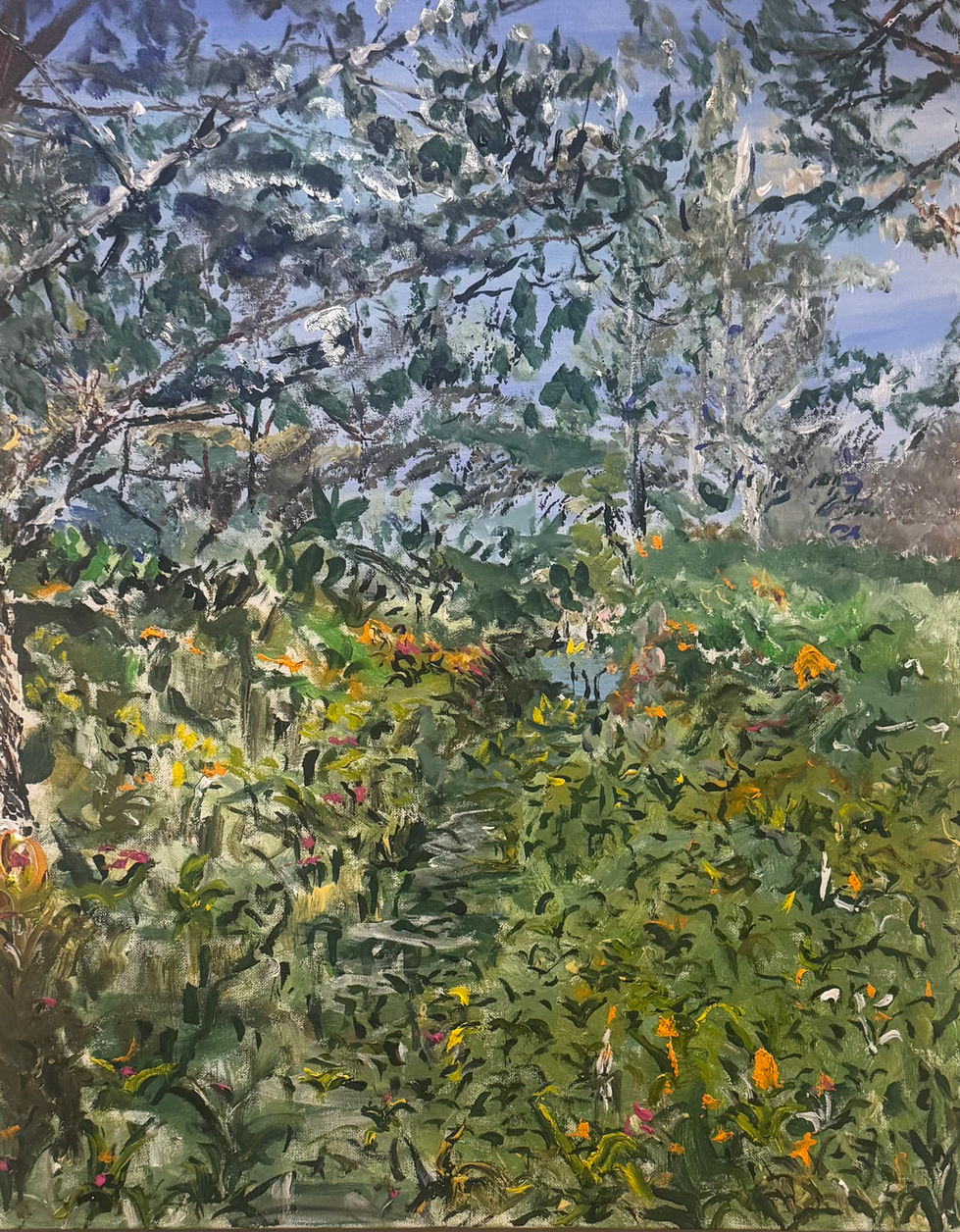 Down the Rabbit hole