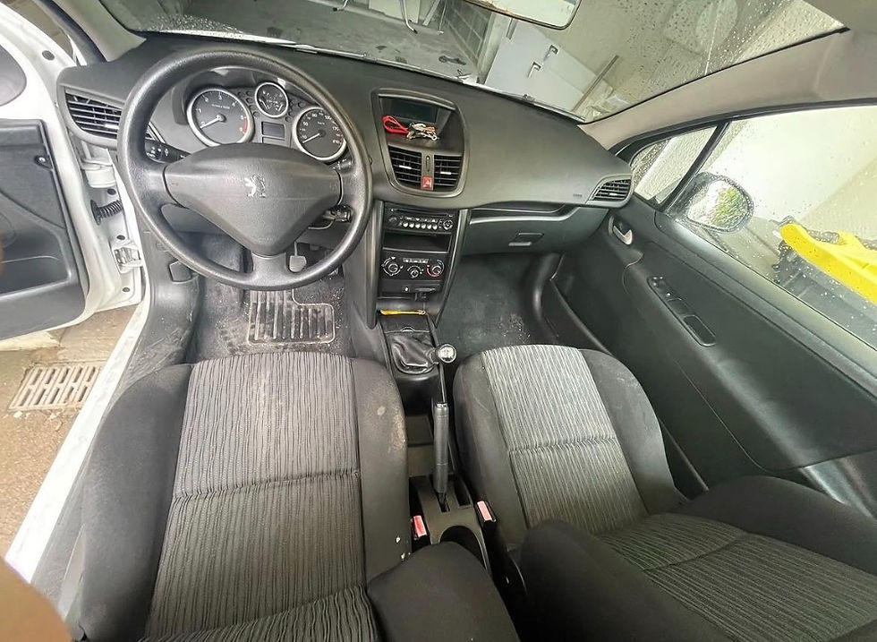 NETT Renault 1 .jpeg