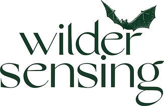 Wilder Sensing logo.png
