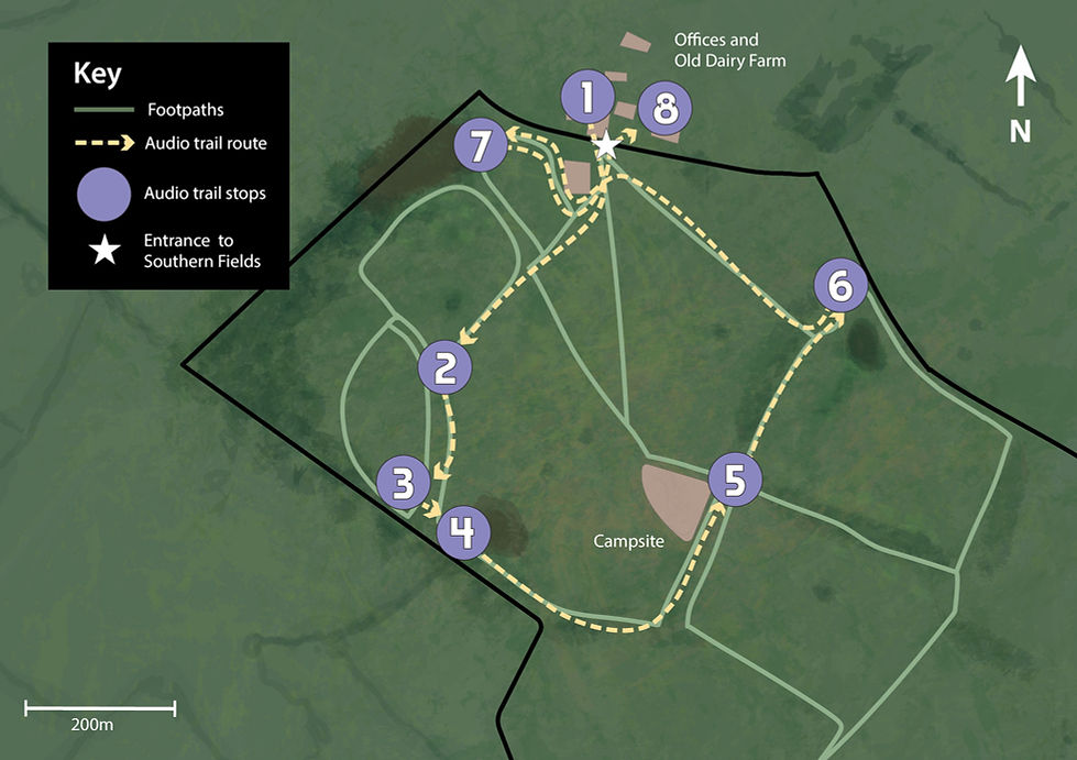 Heal Audio Trail Map - for screens.jpg