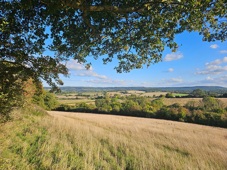 View from Heal Somerset northern fields.jpg