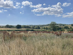 Heal Somerset in August