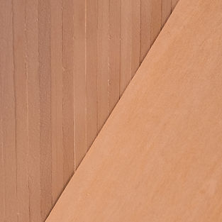 Graft Closeup (20).jpg