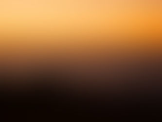 How the Mormon Church and the Boy Scouts of America are Linked