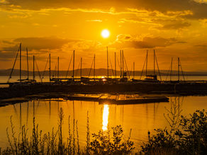 What Are Types of Boating Incidents?