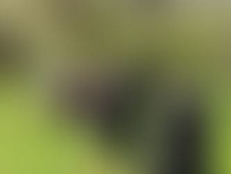 Doğada yürümek çoğu zaman bireysel bir deneyim olarak düşünülür. Oysa aynı yolu başkalarıyla yürüdüğümüzde deneyim değişir. Yalnızca doğayla değil, birbirimizle de ilişki kurmaya başlarız.