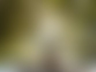 Feinstoffliche Zugänge – warum ich mit der Seele arbeite