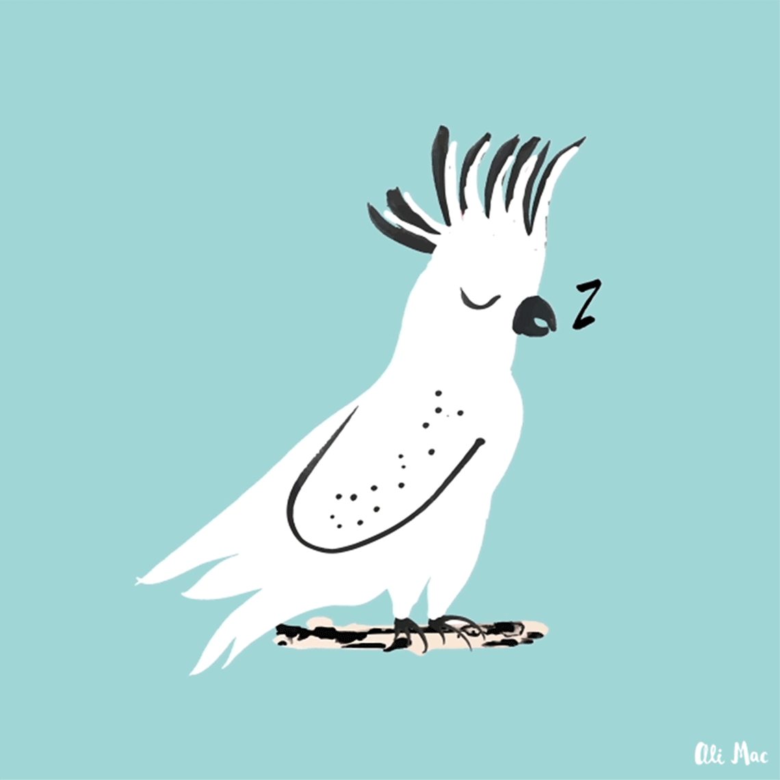 sleepy bird.gif