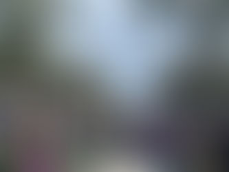 GreenMarket West Palm Beach: Sábados de feria, picnic y vida al aire libre