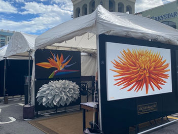 Arte, sol y estilo: así vivimos la 38ª Las Olas Art Fair en Fort Lauderdale