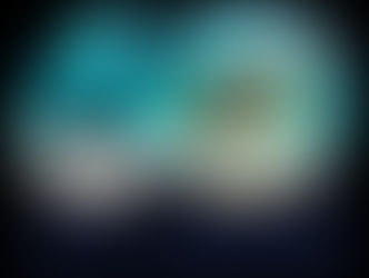 SeaWorld celebra sus 60 años