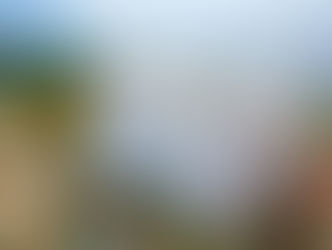 Reabre el Riu Palace Pacifico