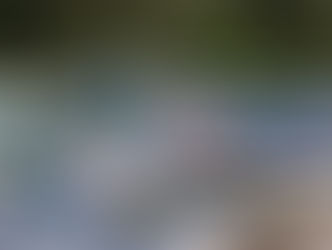 Puerto Montt: Encanto austral y sabores del mar