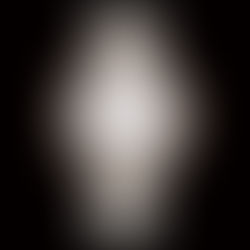 우아한 봄을 위한 삭소니아 컬렉션