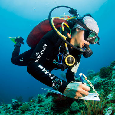 블랑팡의 새로운 미션