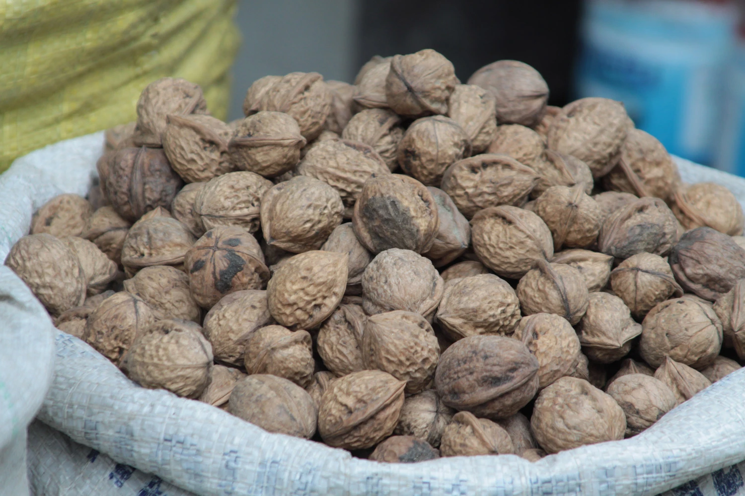 Walnut Assortment
