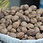 Thumbnail: *Seasonal*  Walnuts and Hazelnuts (priced by pound)