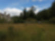 nunnington horse.jpg
