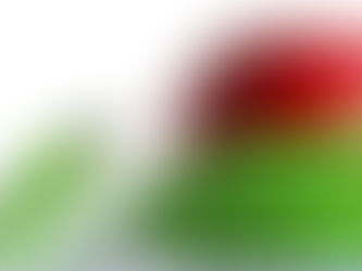 Underserved Students and Technology - What You Need to Know