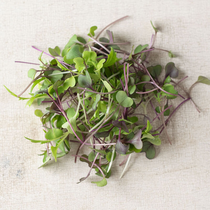 Basic salad mix  2 oz