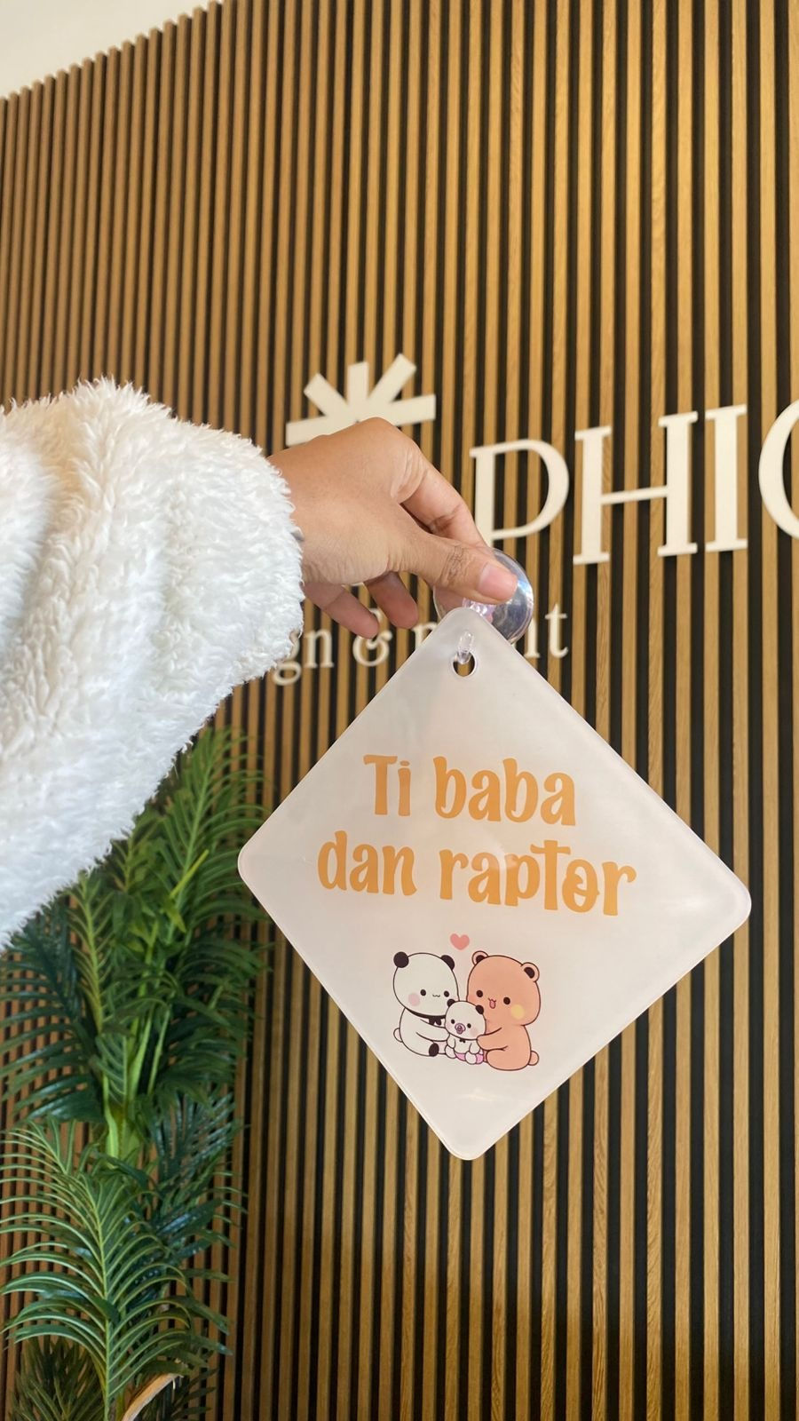 Thumbnail: Baby on board sign