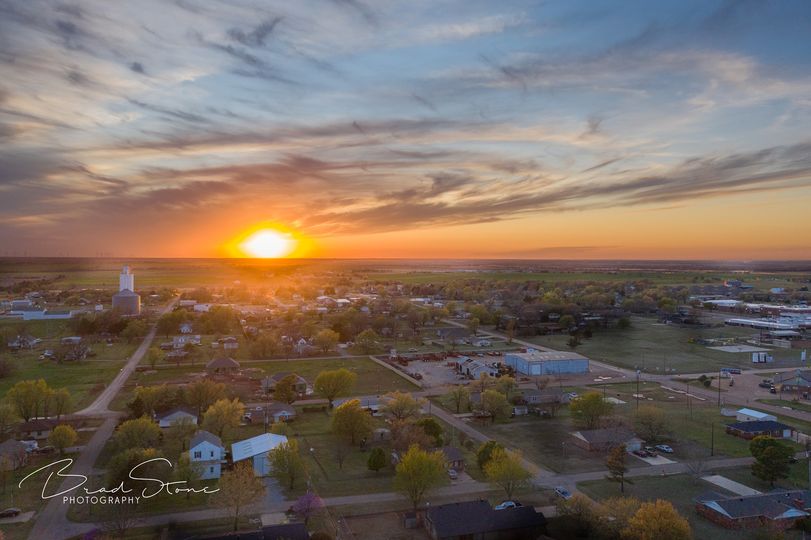 Cashion