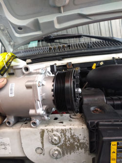 WhatsApp Image 2020-06-24 at 1.50.10 PM 