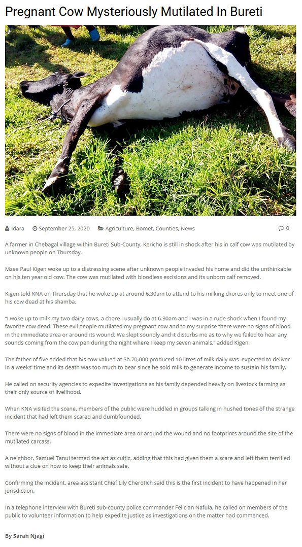 kenya_cow_mutilation_article.jpg