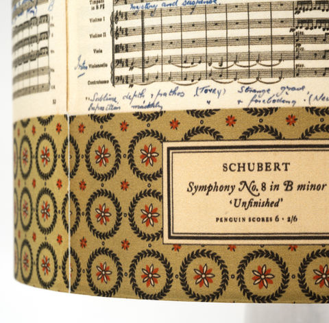 Schubert's unfinished v2 detail.jpeg