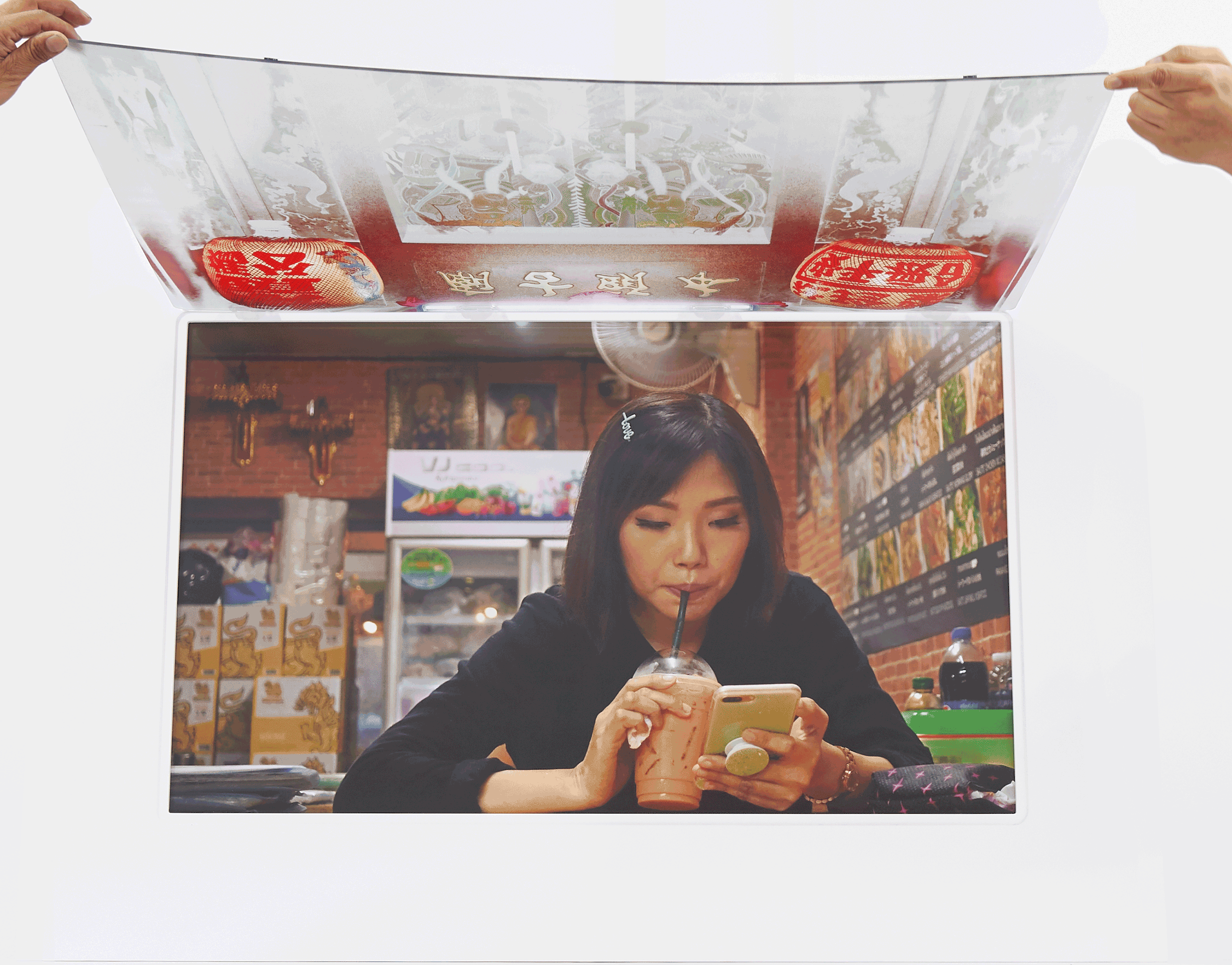 vida-dual.gif