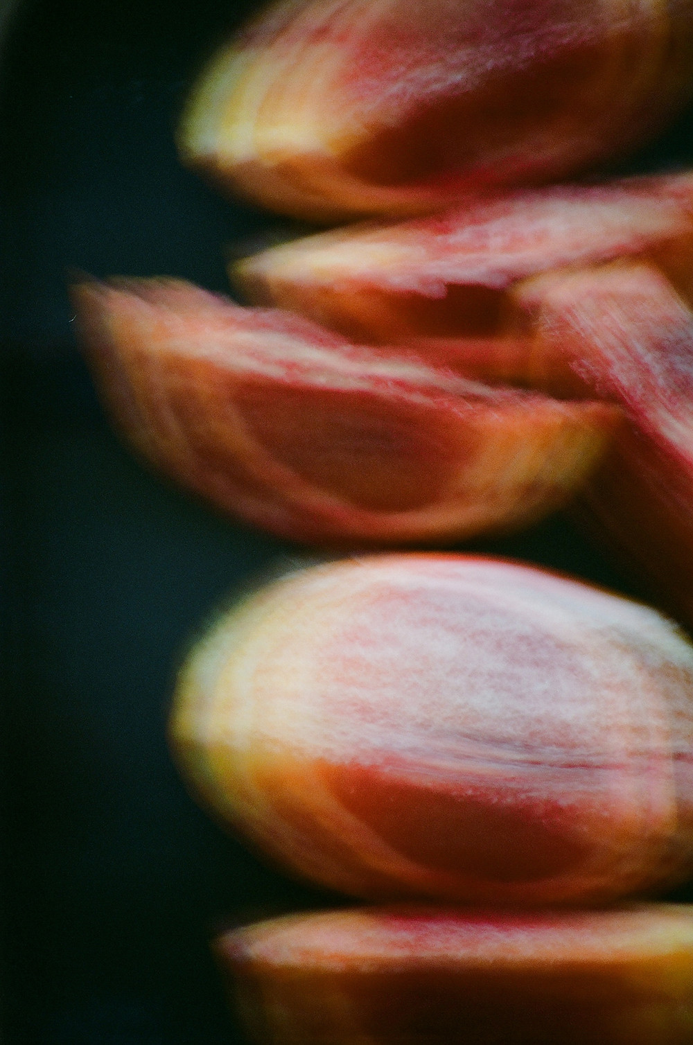 a blurred photograph of blood orange wedges on a dark background from Lina Scheynius photo-essay for Tabayer jewelry