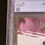 Thumbnail: Back Top Left of Darkwing Duck #1 Dynamite (2023) Bird City Comics "Virgin" Edition A - CGC 9.8