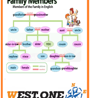 Cada martes os enseñamos vocabulario...