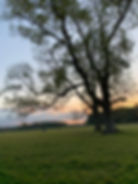 7c67bb84-7788-4fa6-b7c6-8c5b087ca4d5.JPG