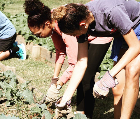 Taylor Lynn Gipson volunteering for food garden
