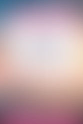 Pink blog graphic over misty sunrise field with tree; reads NEW BLOG POST and 17 Most Important Things To Remember In Life.