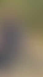 Woman sitting with a happy corgi on a wooden bench, surrounded by greenery. Text reads: "Things I’ve been implementing to support living with chronic illness." Hashtags and website link present.