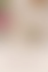 Open book with a teacup and flowers on a white cloth. Pink rose and pastry nearby. Text reads “November 2025 Book Reviews” with URL.