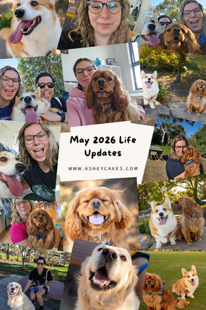 Collage of smiling woman with two dogs outdoors and indoors, titled May 2026 Life Updates, with asheycakes.com text.