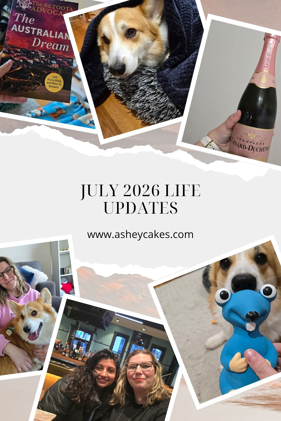 Collage of July 2026 life updates: corgi photos, women together, champagne bottle, book cover, and title text with asheycakes.com.
