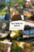 Collage of nature scenes, people outdoors, and a dog. Text reads "April 2026 Life Updates" with a website link. Vibrant and serene mood.