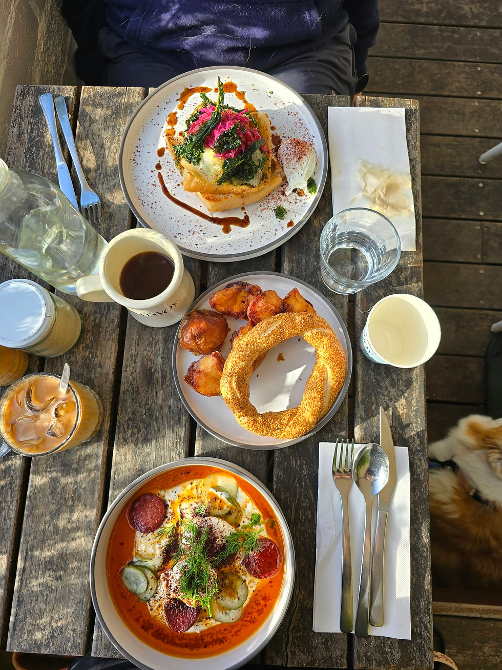 Overhead view of a rustic outdoor café table with three plated meals, coffee, water, utensils, and a dog at the edge.