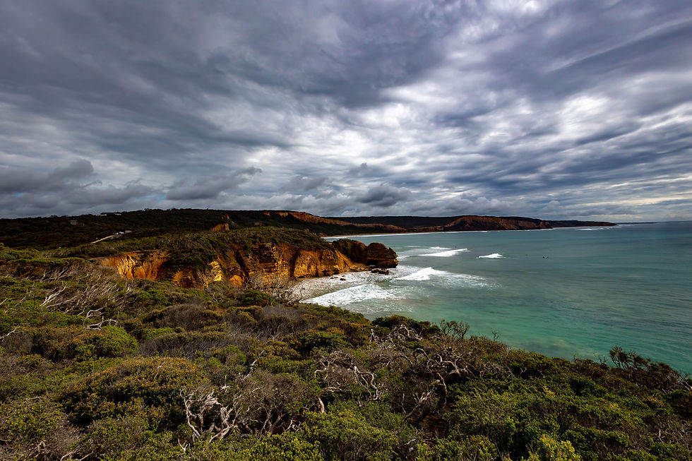 Dramatic coastal scene with rugged cliffs and turquoise ocean waves under a cloudy sky. Lush green vegetation in the foreground.