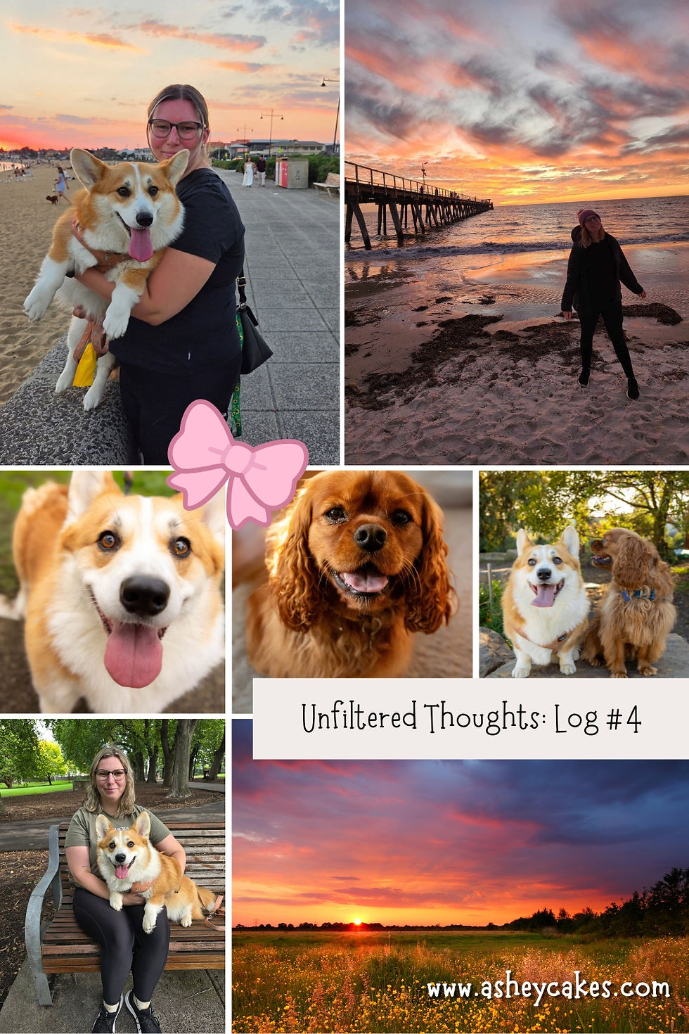 Collage of a woman with a corgi at the beach, sunset shore portrait, dog close-ups, and a sunset field. Unfiltered Thoughts: Log #4
