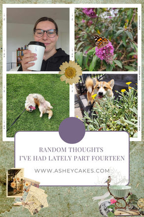 Random Thoughts I've had lately - Part Fourteen