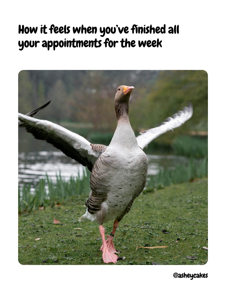 Excited goose with wings spread in a grassy park by a lake. Text: "How it feels when you’ve finished all your appointments for the week” @asheycakes.