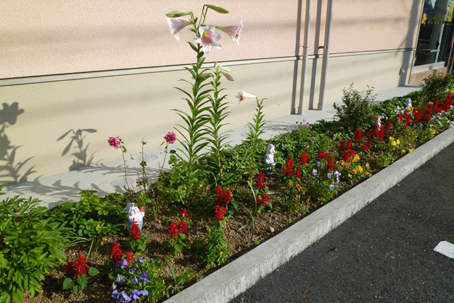 大川内科（医療法人オリーブ）
